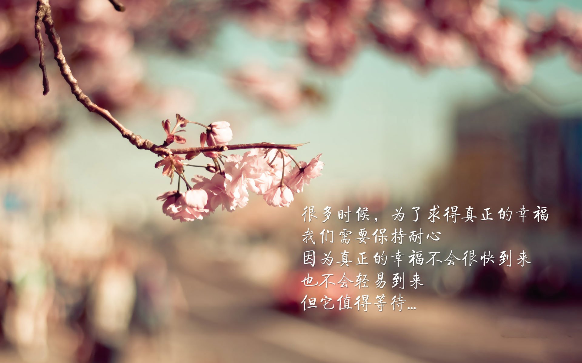 _新春体育嘉年华：健康欢乐迎新年_，2021年迎新年体育比赛