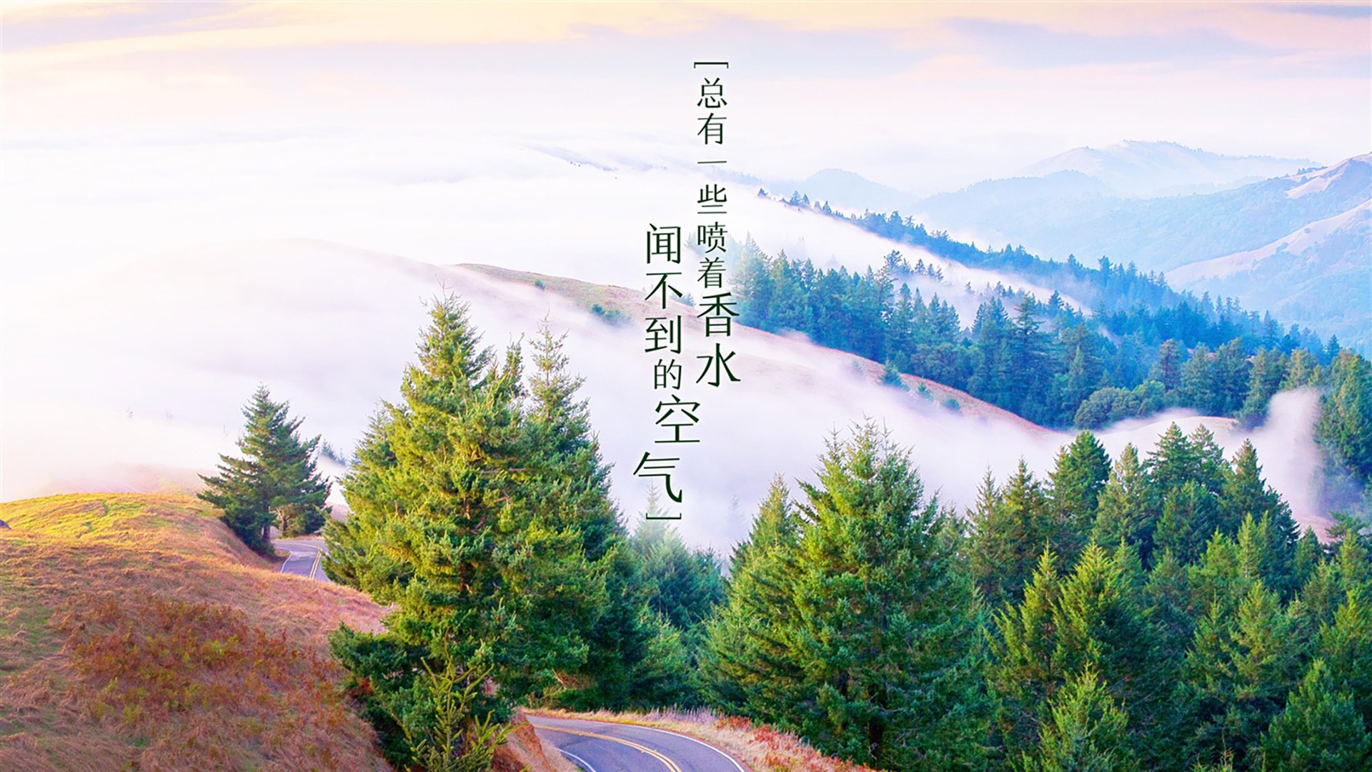 史上“最默契”的团队合作瞬间，团队配合已到极致，团队配合默契的说说