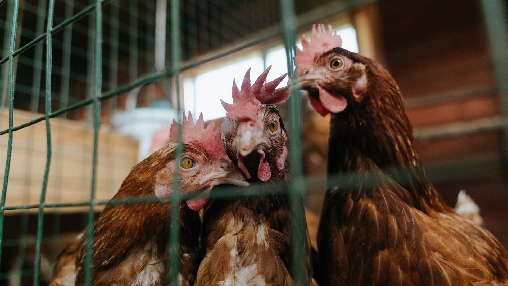 基层足球基础设施建设是否跟上需求,关于全面推进城市社区足球场地设施建设的意见
