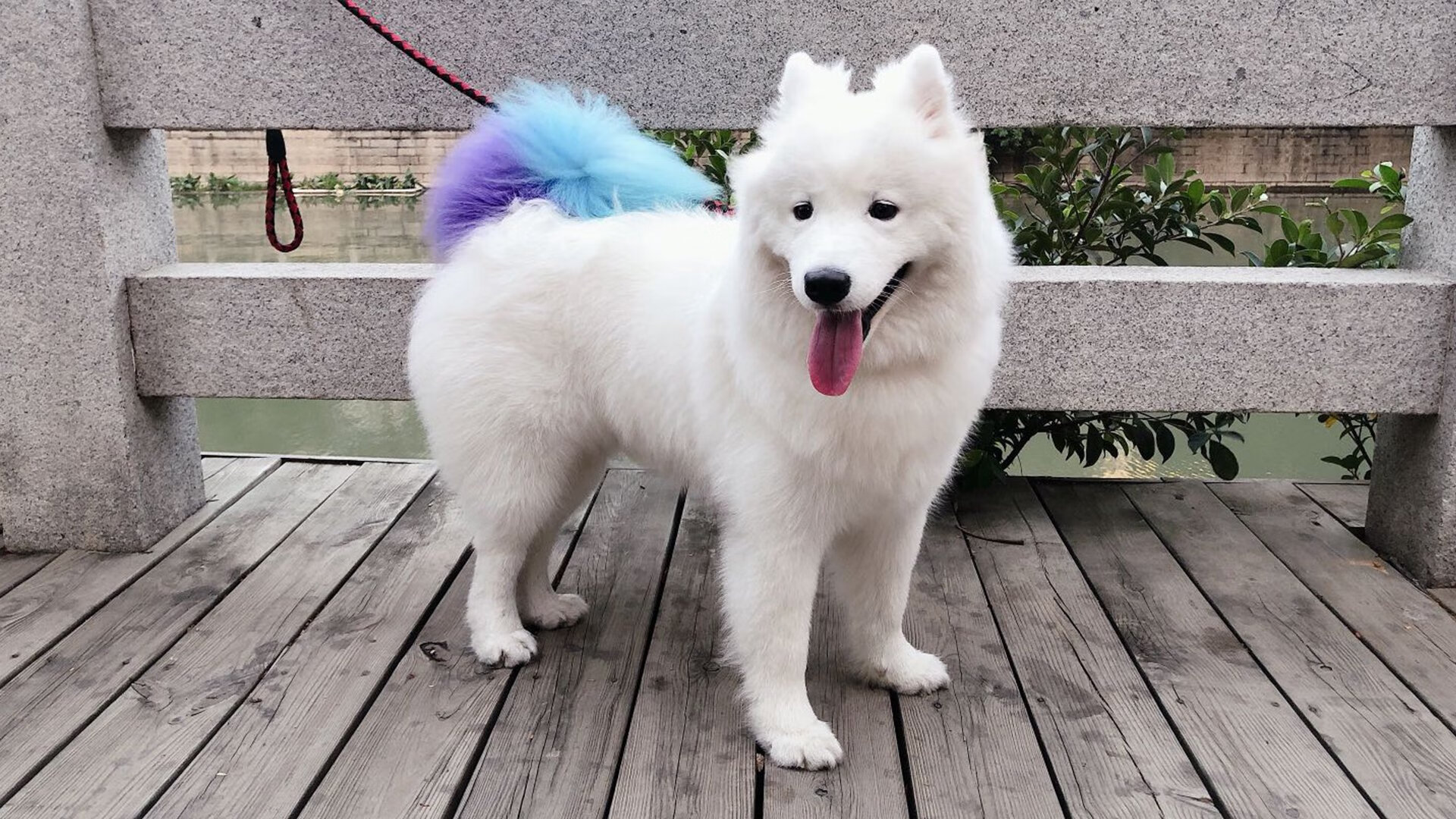 FB体育官网-塞维利亚主场3-0大胜皇家社会，进攻火力全开，塞维利亚 vs 皇家马德里