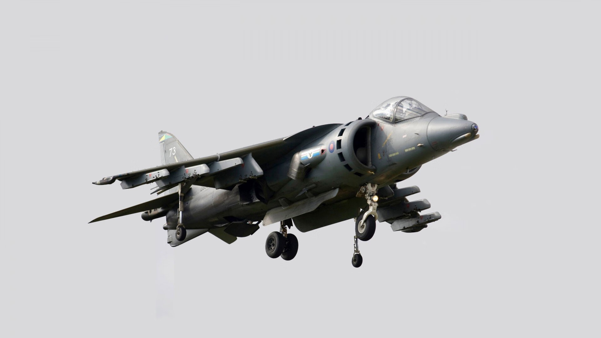 FB体育-张某在女足比赛中表现出色，成为焦点，张某在足球世界杯期间参加下列活动