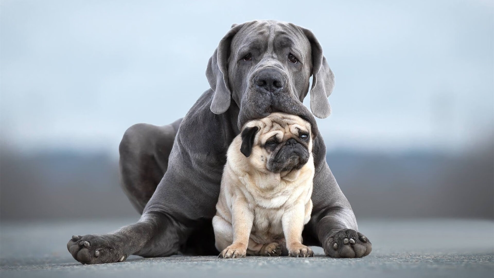 FB体育娱乐-拜仁慕尼黑客场1-1战平沙尔克04，遭遇平局，拜仁慕尼黑客场球衣19-20