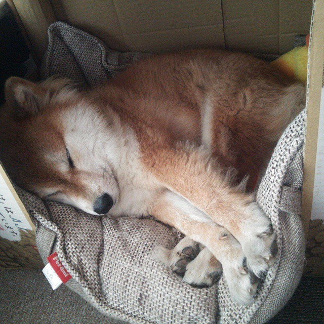 fb体育网址-梅斯锋线状态火爆，取得关键胜利，梅斯ds