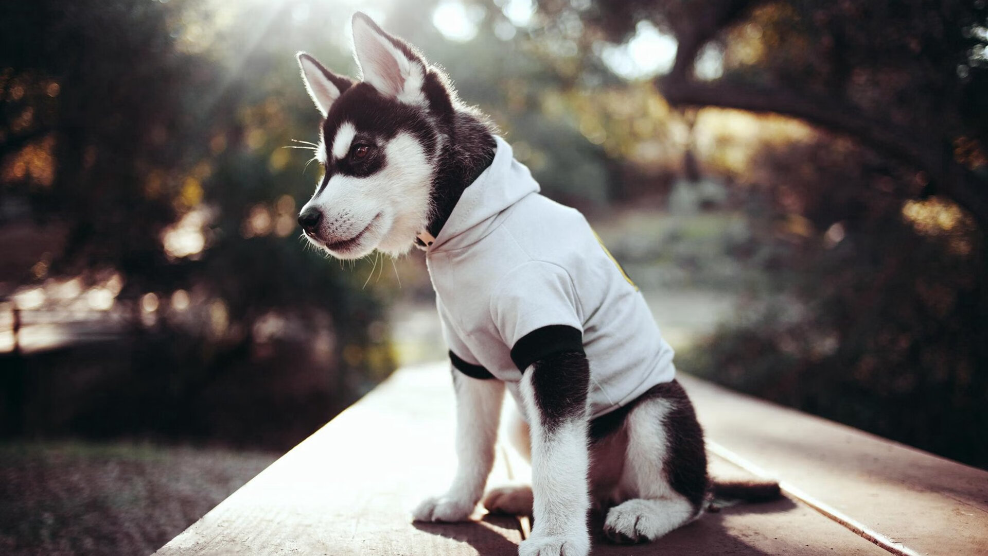 FB体育在线直播平台-萨拉提瓦入选国家队，多场比赛表现抢眼，萨拉买提