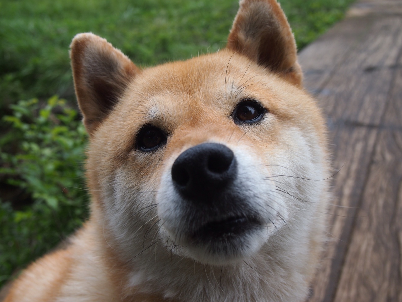 中国篮球青训教练员专业发展规划与能力提升,篮球教练发展前景