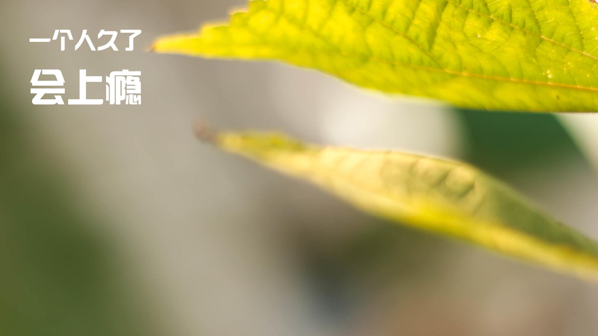 FB体育网页版-运动员训练效果科学评估，运动员训练状态监测量表