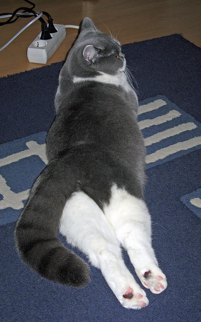 中国三人篮球男队提升协同防守意识,三人篮球中国队队员