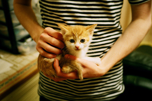 FB体育-南特锋线灵活跑位增加得分可能，南特前锋