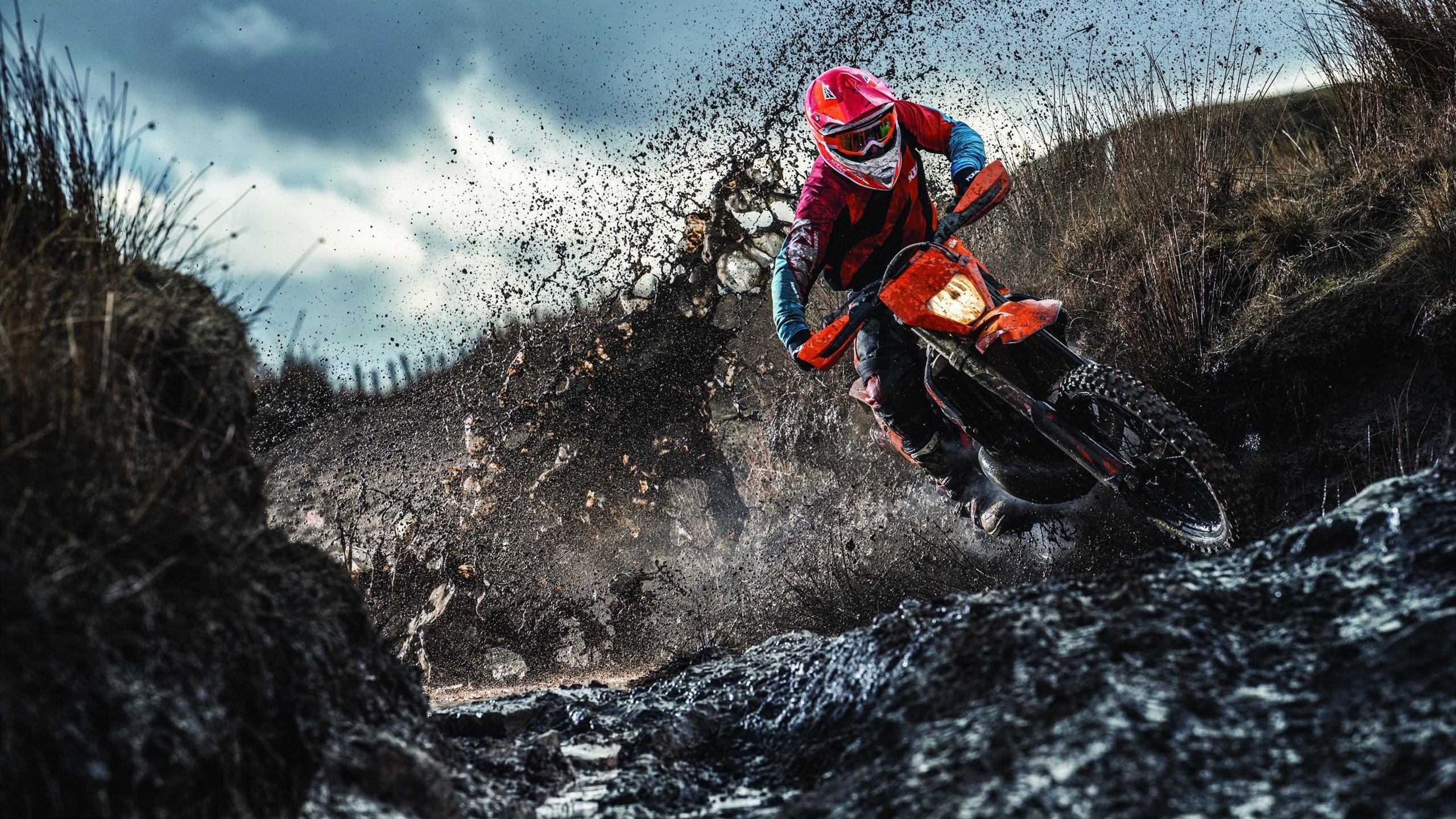 fb体育官网app-全国青少年“梦想起航”系列讲座在哈尔滨举行，青少年梦想基金